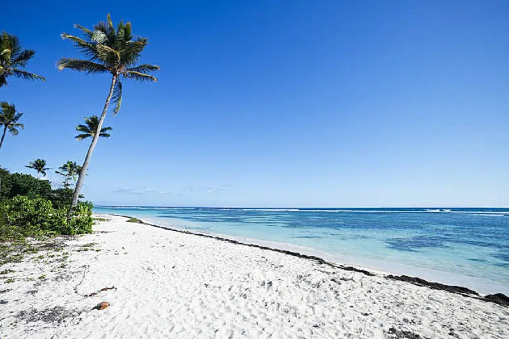 dangereux de partir en Guadeloupe en ce moment